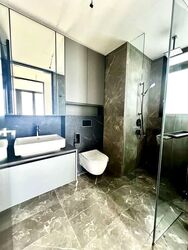 Irwell Hill Residences (D9), Apartment #594628231